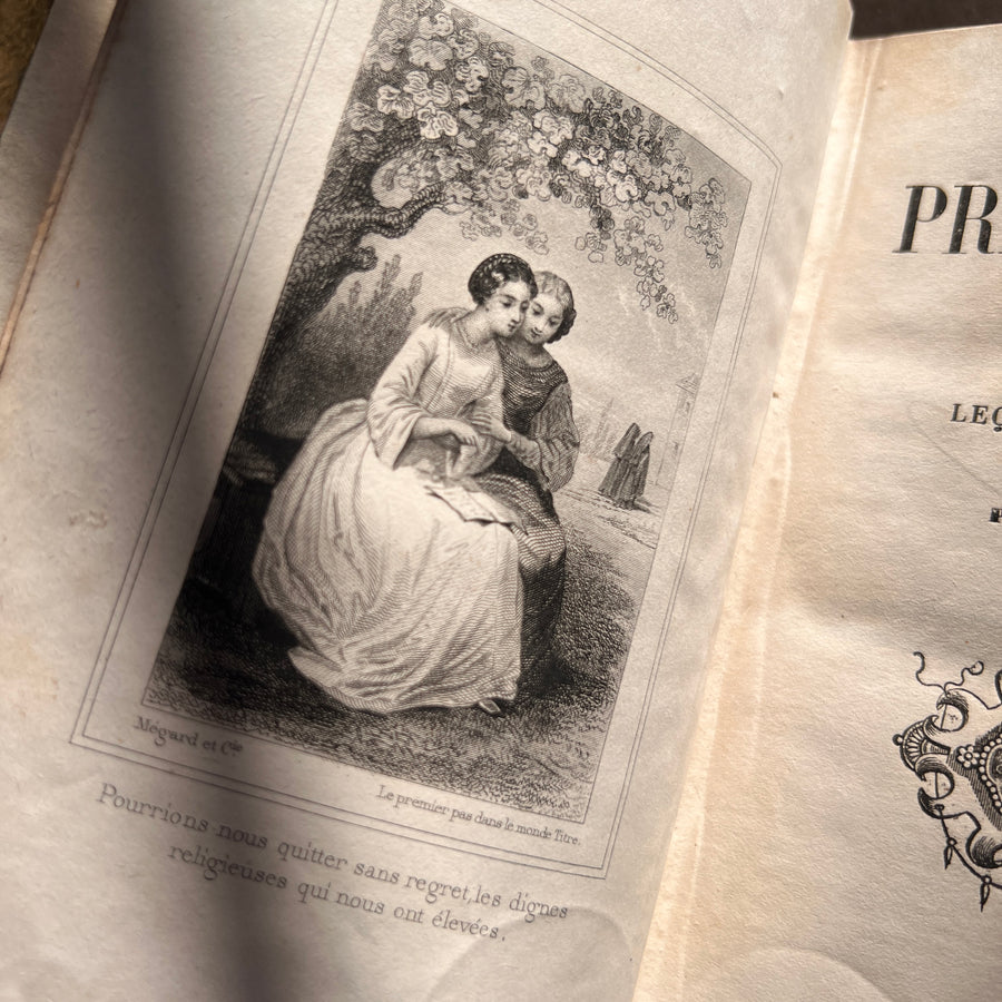 Le Premier Pas dans le Monde: Leçons de Politesse by C. Fallet | 1856 | Cartonnage Romantique with Illustrated Front Board & Ornate Pink, White & Gold Back Board