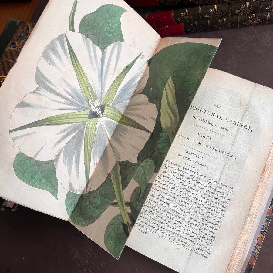 The Floricultural Cabinet and Florist’s Magazine | Fine Binding — Volume for 1838, Hand-Coloured Botanical Plates, Joseph Harrison (1830s–1840s)