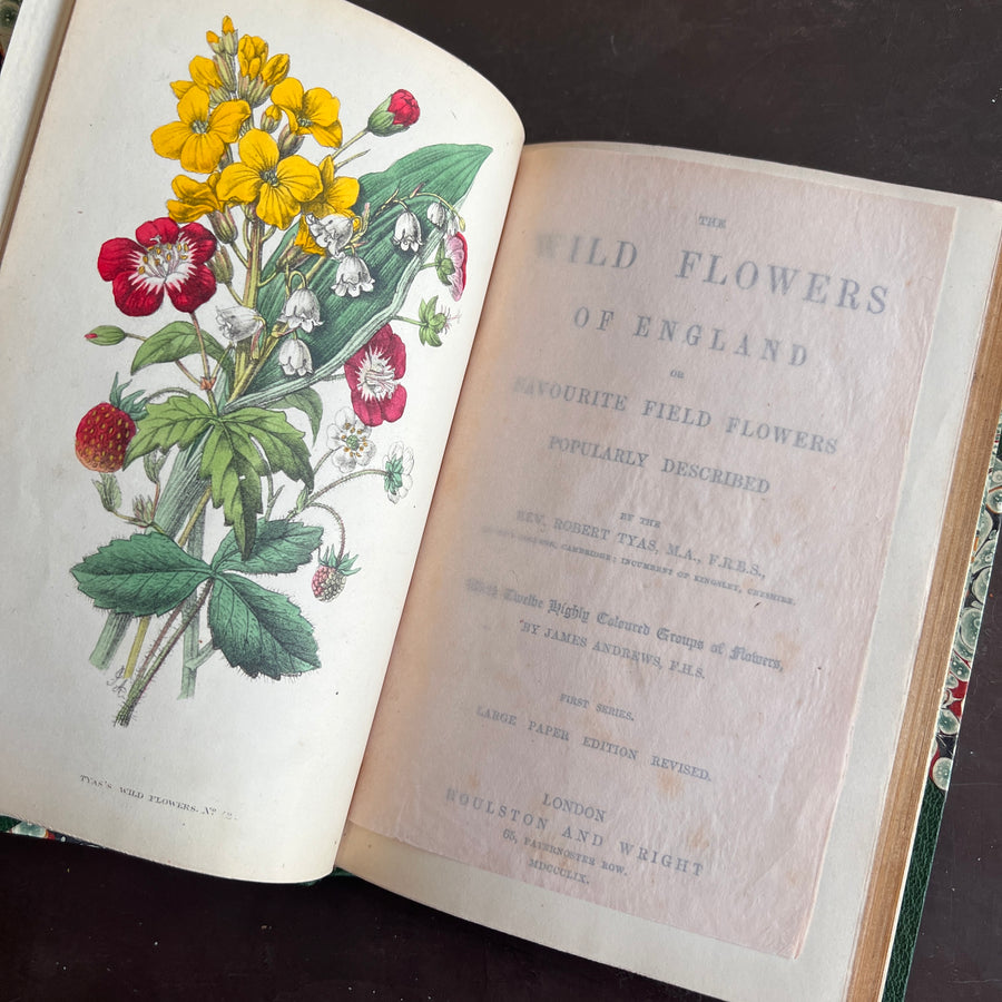 The Wild Flowers of England (1859) | With Hand-Painted Plates
