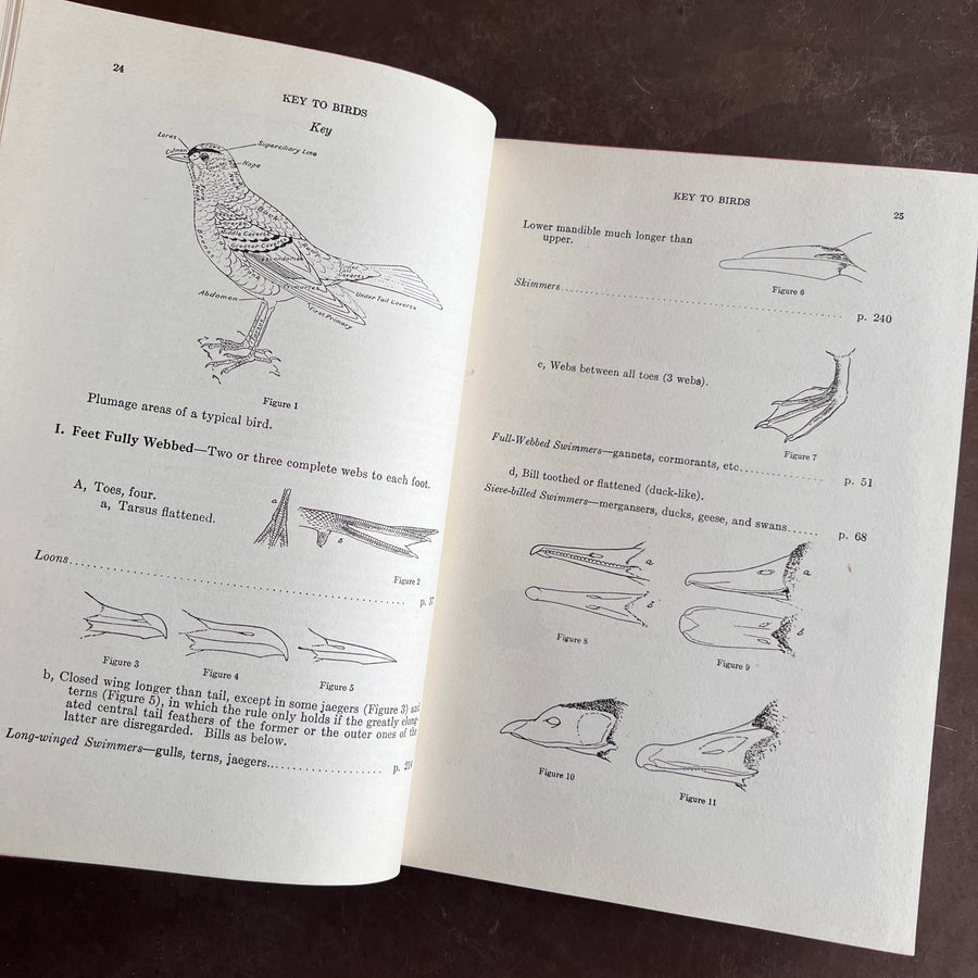 Birds of Canada by P.A. Taverner (1949 Revised Edition)