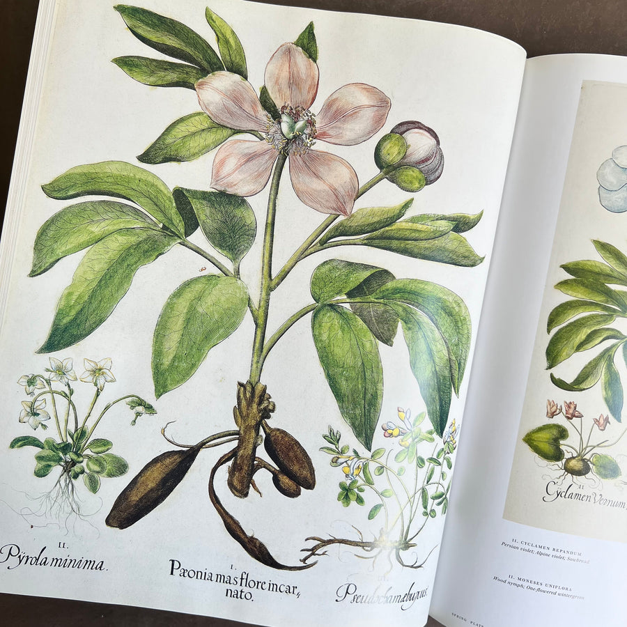 Botanical Pattern Book 2007 - The Book of Botanical Prints; The Complete Plates – Honey Bee Mill