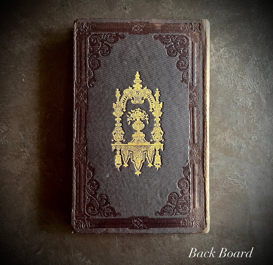 Atala & Le Dernier Abencérage by Chateaubriand | 1855 | Illustrated