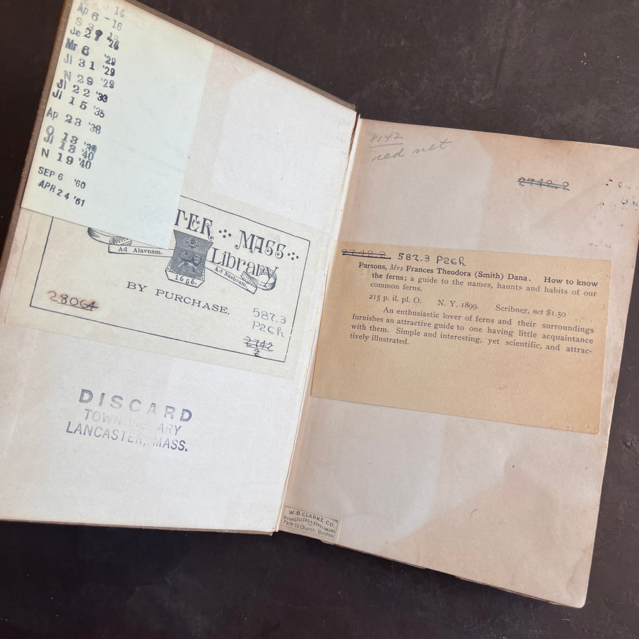 How To Know The Ferns: A Guide to the Names, Haunts, and Habits of Our Common Ferns by Frances Theodora Parsons | Illustrated | 1899