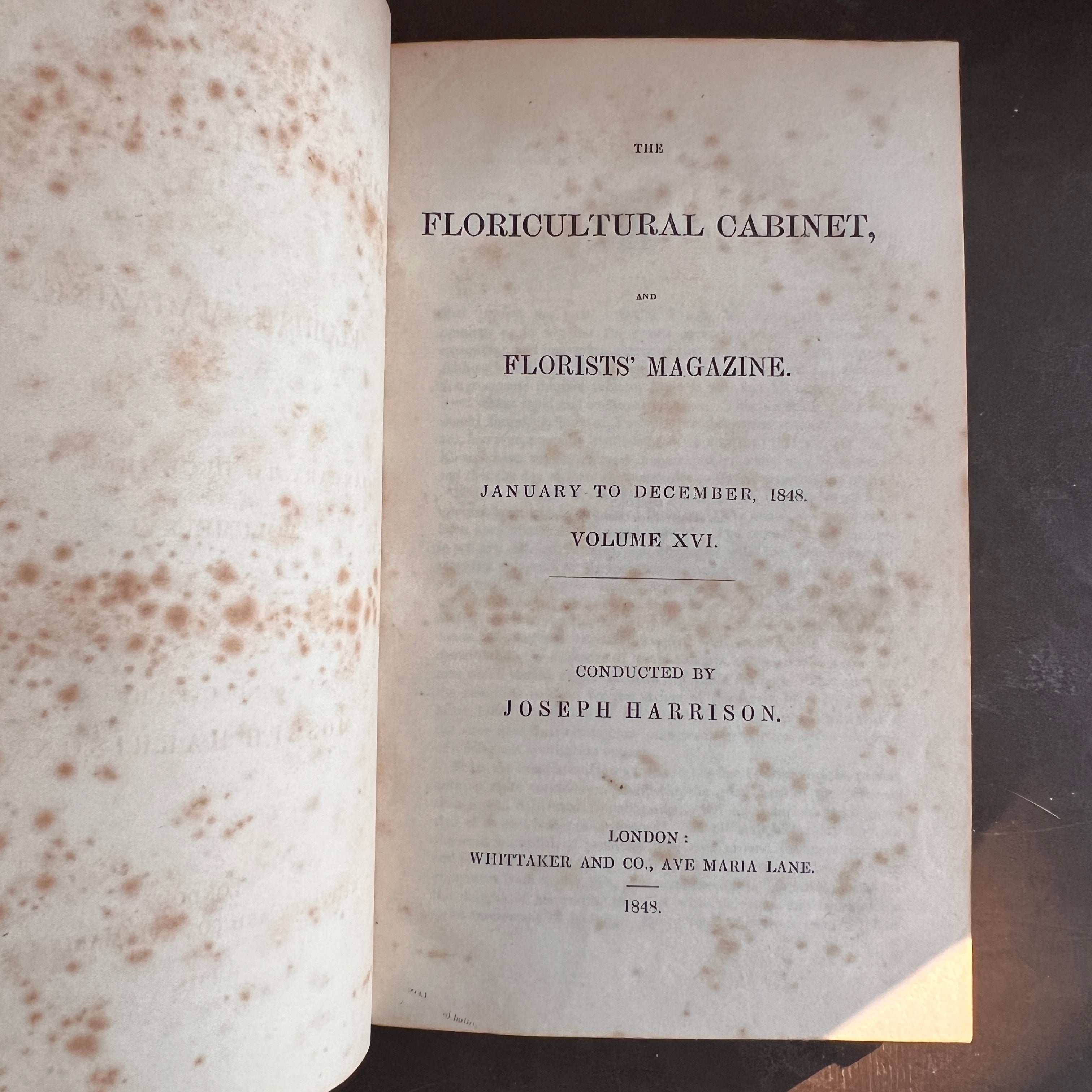 Floricultural Cabinet Book and Florist’s Magazine (1848) | With Hand-C ...