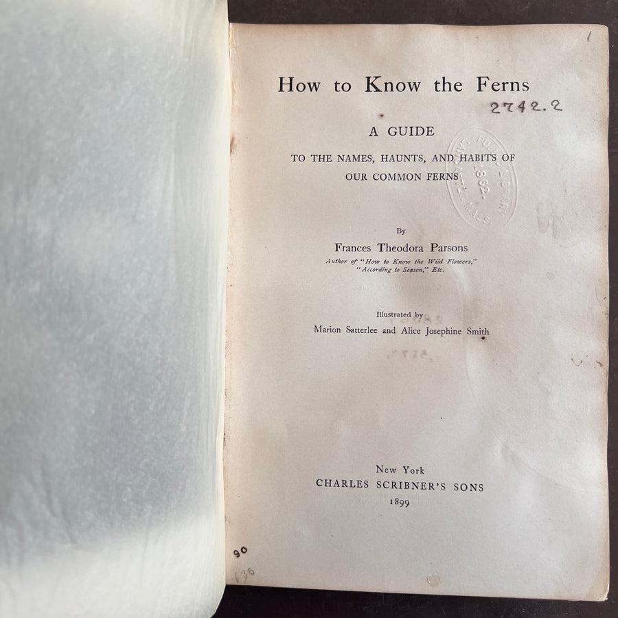 How To Know The Ferns: A Guide to the Names, Haunts, and Habits of Our Common Ferns by Frances Theodora Parsons | Illustrated | 1899