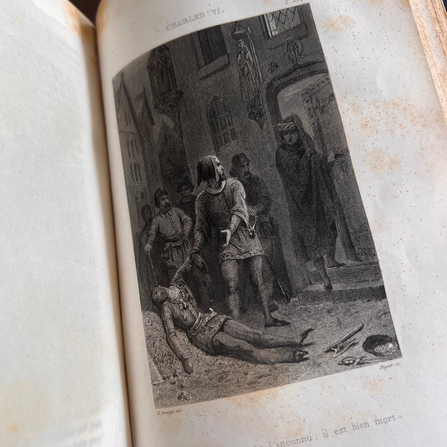 Charles VI: Les Armagnacs et Les Bourguignons by M. Todière | 1848 | Gilt Coat of Arms and Gilt Urn to Boards