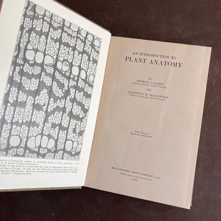 1925 - An Introduction to Plant Anatomy