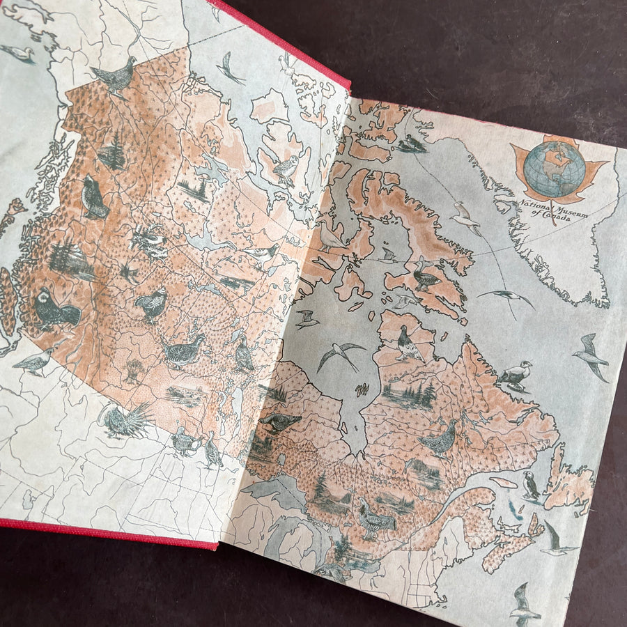 Birds of Canada by P.A. Taverner (1949 Revised Edition)