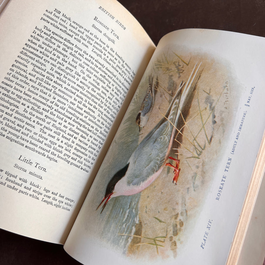 British Birds By W.H. Hudson (1926) | Half Leather Prize Fine Binding