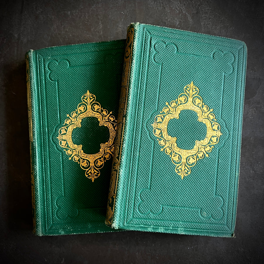 Le Pilote Willis by Adrien Paul | 1865 Complete 2-Volume Set | Illustrated