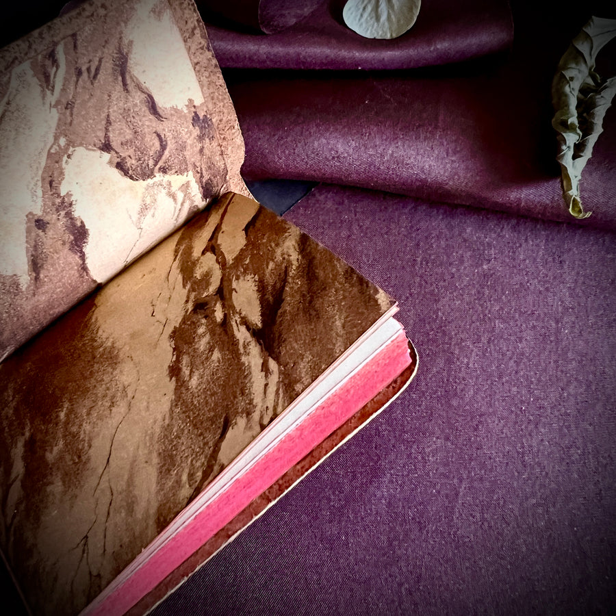 William Shakespeare — Miniature Works (24-Volume Set in Original Box | Leather Bound | c. 1920