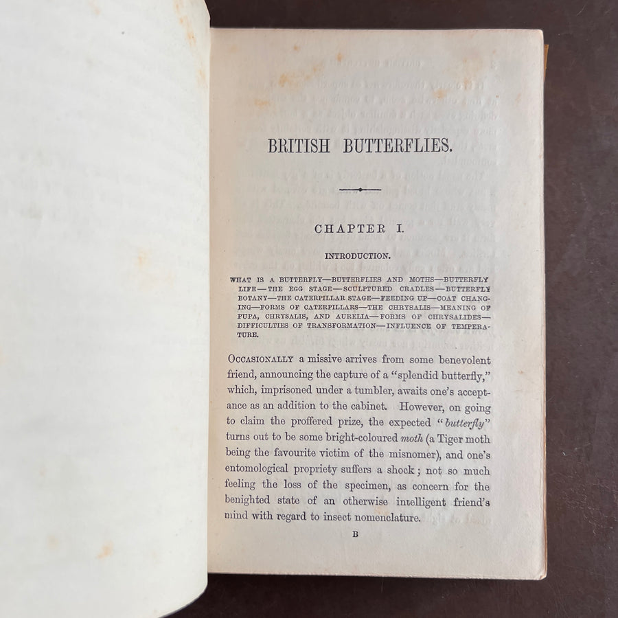 British Butterflies; Figures and Descriptions of Every Native Species by W.S. Coleman (c.1870s-1880s)