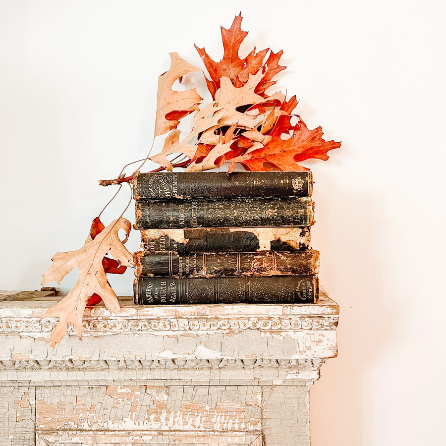 Antique Readers/Old School Books Bundle – Honey Bee Mill