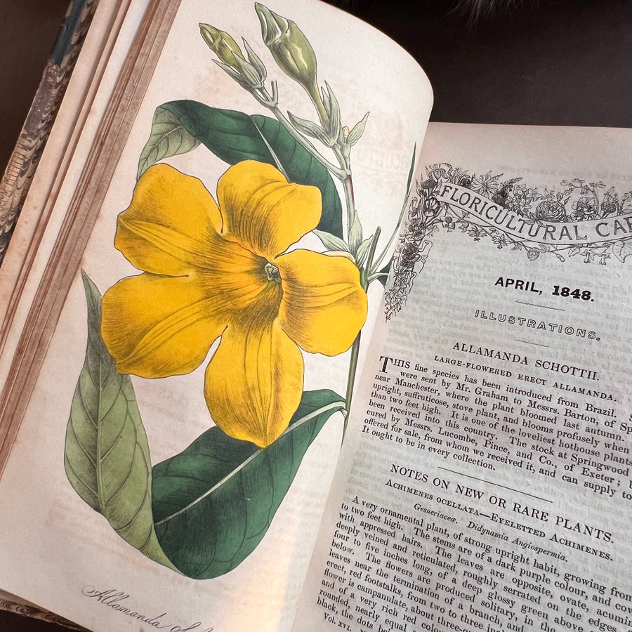 Floricultural Cabinet Book and Florist’s Magazine (1848) | With Hand-Colored Plates