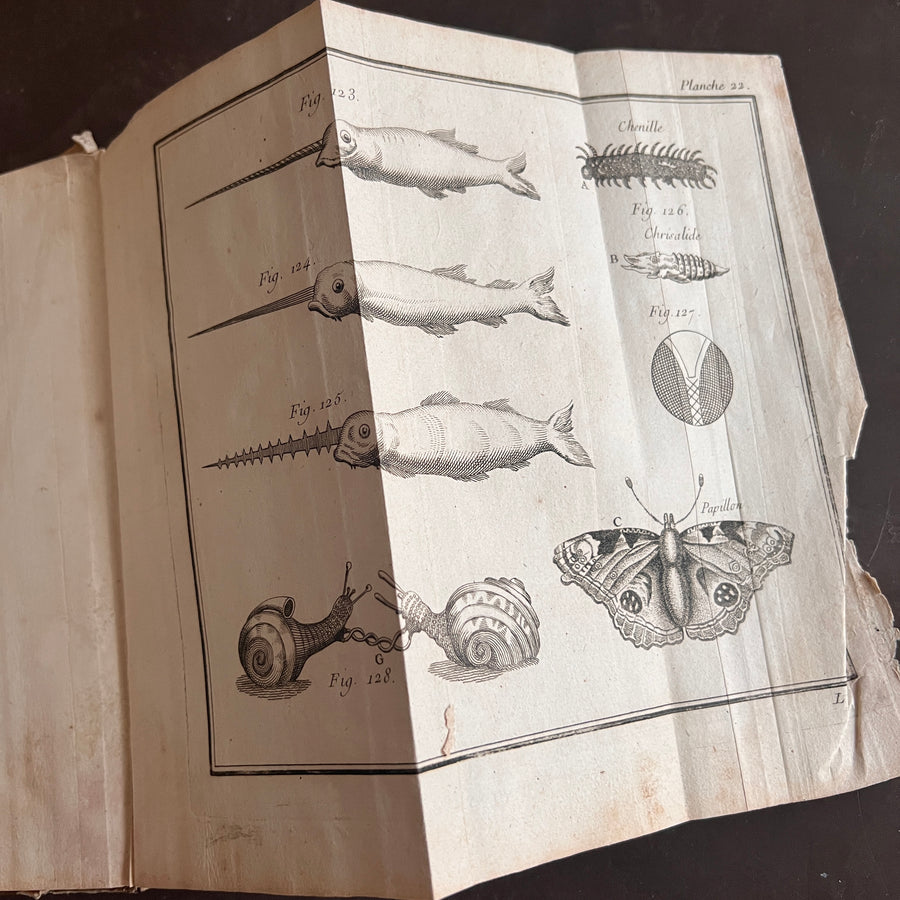 1756 Grammaire des Sciences Philosophiques — Vellum-Bound Scientific Encyclopaedia with Newtonian & Copernican Fold-Out Plates