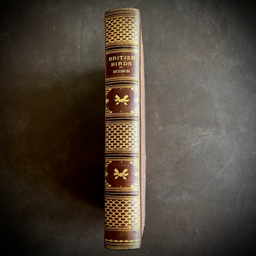 British Birds By W.H. Hudson (1926) | Half Leather Prize Fine Binding