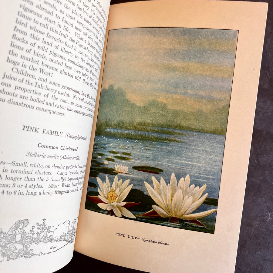 1926 - The Nature Library; Wild Flowers