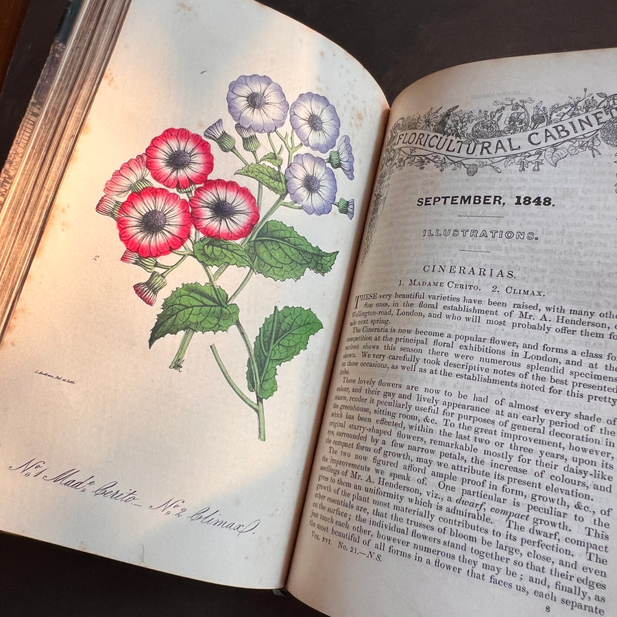 Floricultural Cabinet Book and Florist’s Magazine (1848) | With Hand-Colored Plates
