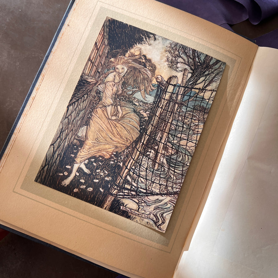 Undine by de la Motte Fouque | 1909 1st Edition | Illustrated by Arthur Rackham