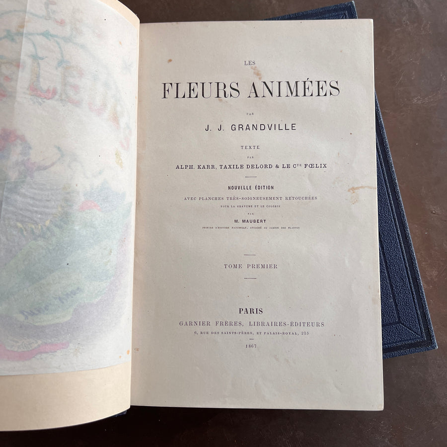 1867 Les Fleurs Animées – Grandville’s Botanical Anthropomorphism Masterpiece l 2-Volumes