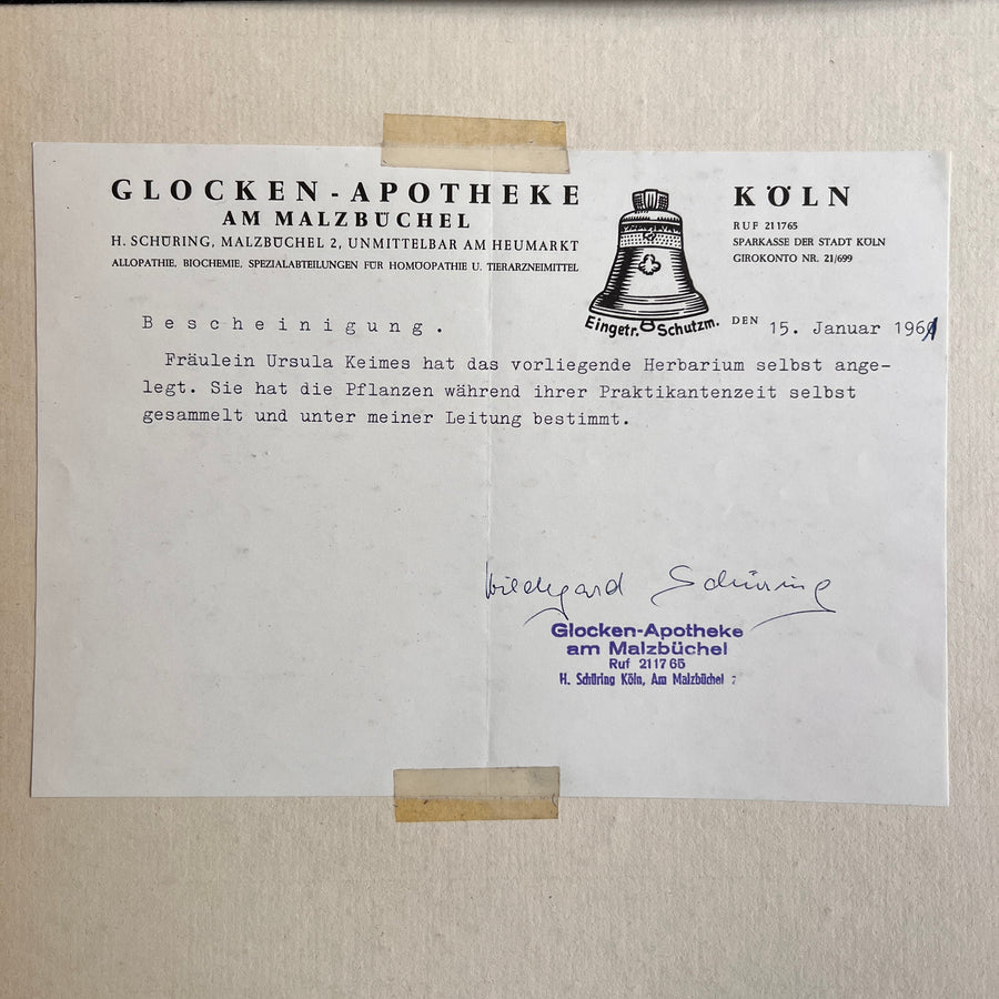 Private Herbarium of Ursula Keimes (1959-1961) | 103 Specimens | Cologne, German Pharmacy Internship with Certification