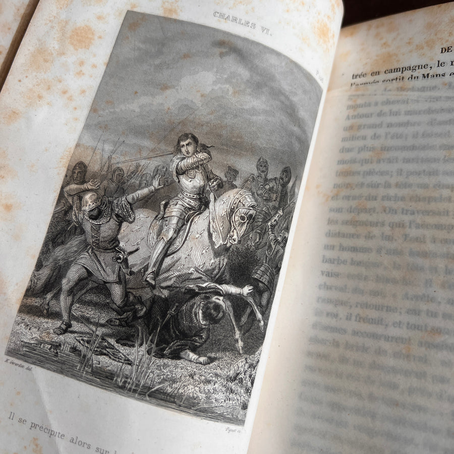 Charles VI: Les Armagnacs et Les Bourguignons by M. Todière | 1848 | Gilt Coat of Arms and Gilt Urn to Boards