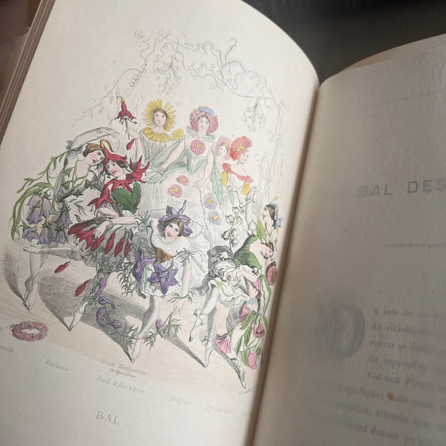1867 Les Fleurs Animées – Grandville’s Botanical Anthropomorphism Masterpiece l 2-Volumes