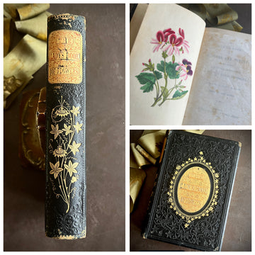 The Lady’s Book of Flowers and Poetry | 1859