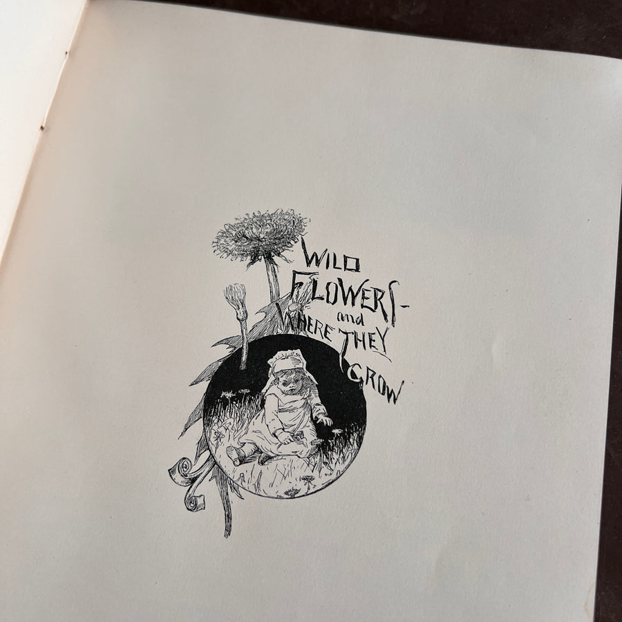 Wild Flowers and Where They Grow (1882)