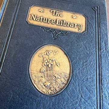 1926 - The Nature Library; Wild Flowers