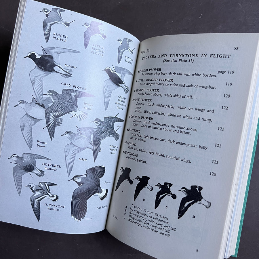 1961 - A Field Guide to Western Birds