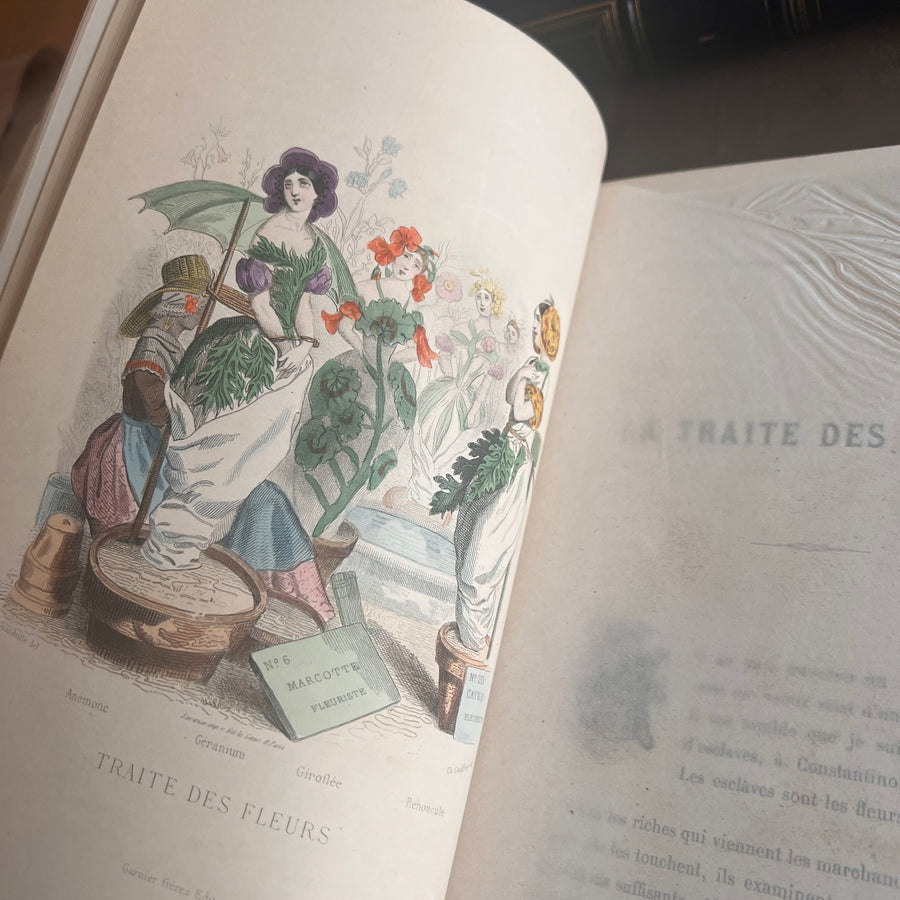 1867 Les Fleurs Animées – Grandville’s Botanical Anthropomorphism Masterpiece l 2-Volumes