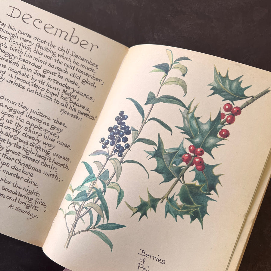 The Country Diary of An Edwardian Lady by Edith Holden, (1979) | Illustrated Nature Diary