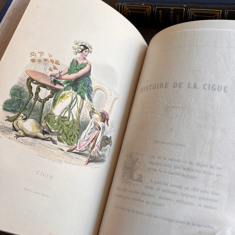 1867 Les Fleurs Animées – Grandville’s Botanical Anthropomorphism Masterpiece l 2-Volumes