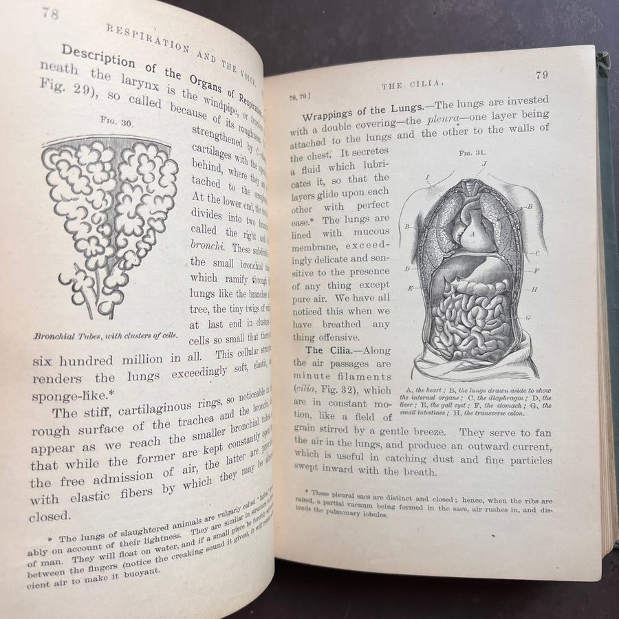 1888 - Hygienic Physiology; WIth Special Reference To The Use of Alcoholic Drinks and Narcotics