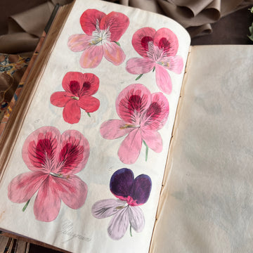 The Floricultural Cabinet and Florist’s Magazine | Fine Binding — Volume for 1835 | Hand-Colored Botanical Plates