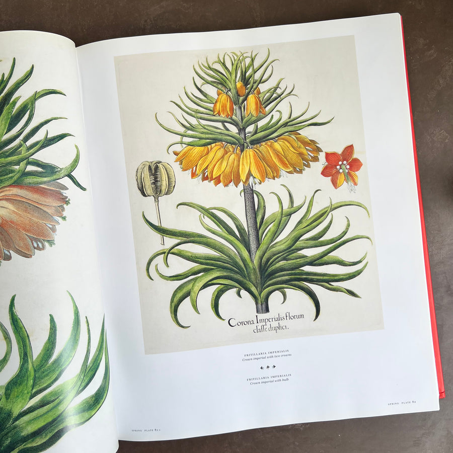 Botanical Pattern Book 2007 - The Book of Botanical Prints; The Complete Plates – Honey Bee Mill