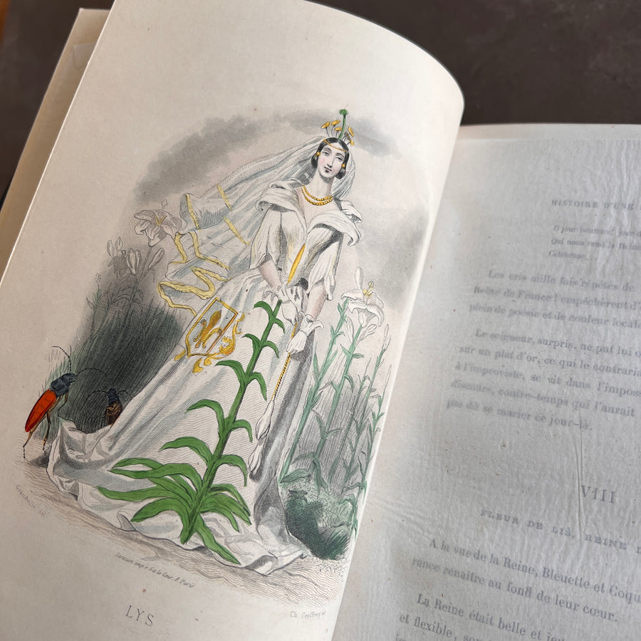 1867 Les Fleurs Animées – Grandville’s Botanical Anthropomorphism Masterpiece l 2-Volumes