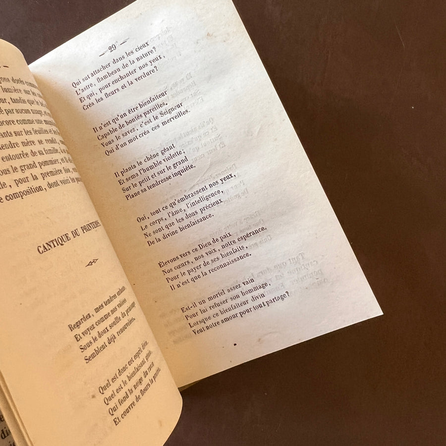 La Guirlande de Houblon, 1859 | Antique French Cartonnage Book