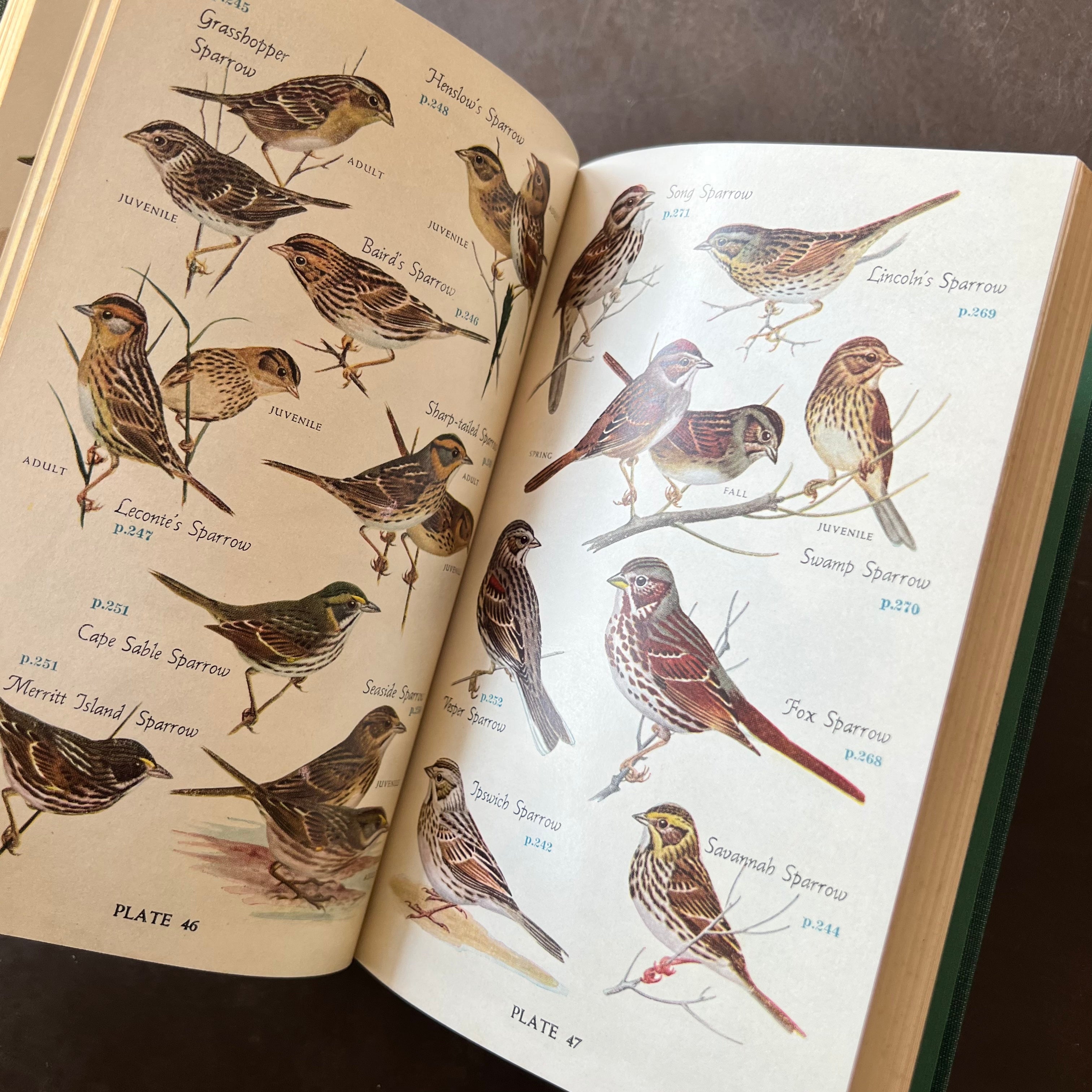 1949 - Audubon Bird Guide: Small Land Birds of Eastern & Central