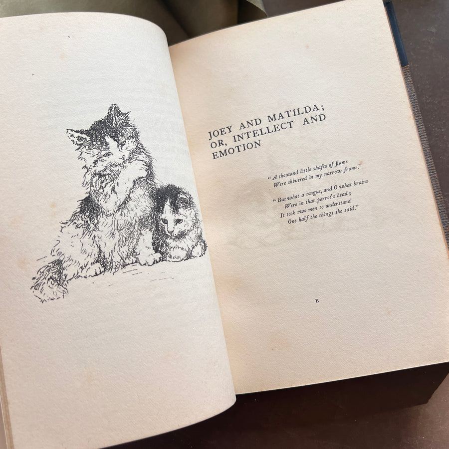 The Soul of a Cat and Other Stories — Margaret Benson (1901) | Fine Custom Binding with Marbled Endpapers