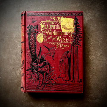 1885 - The Beautiful, The Wonderful and The Wise