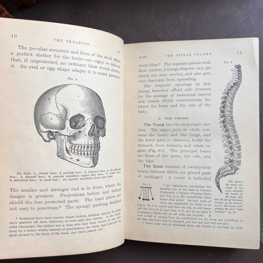 1888 - Hygienic Physiology; WIth Special Reference To The Use of Alcoholic Drinks and Narcotics