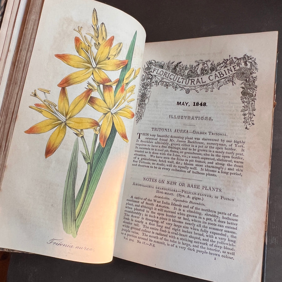 Floricultural Cabinet Book and Florist’s Magazine (1848) | With Hand-Colored Plates