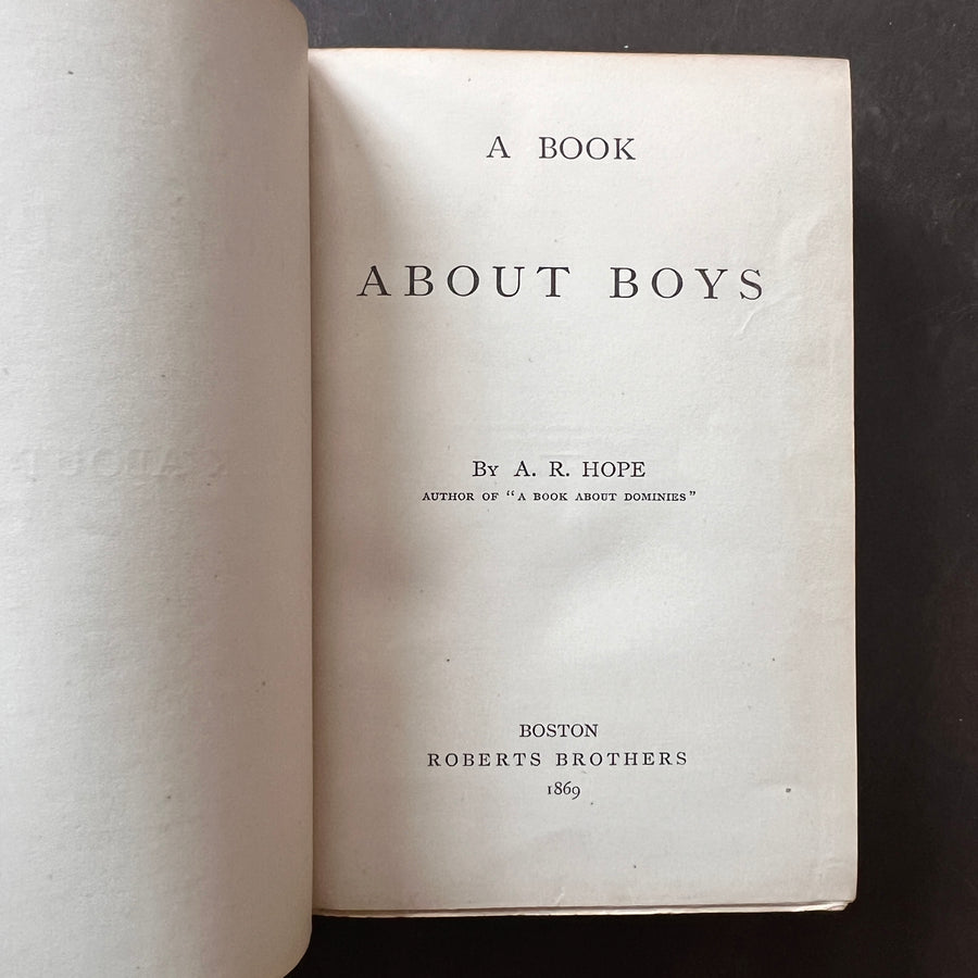 1869 - A Book About Boys