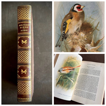 British Birds By W.H. Hudson (1926) | Half Leather Prize Fine Binding