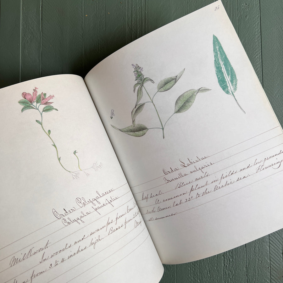 1997 - A Shaker’s Sister’s Drawings; Wild Plants Illustrated By Cora Helena Sarle , First Edition