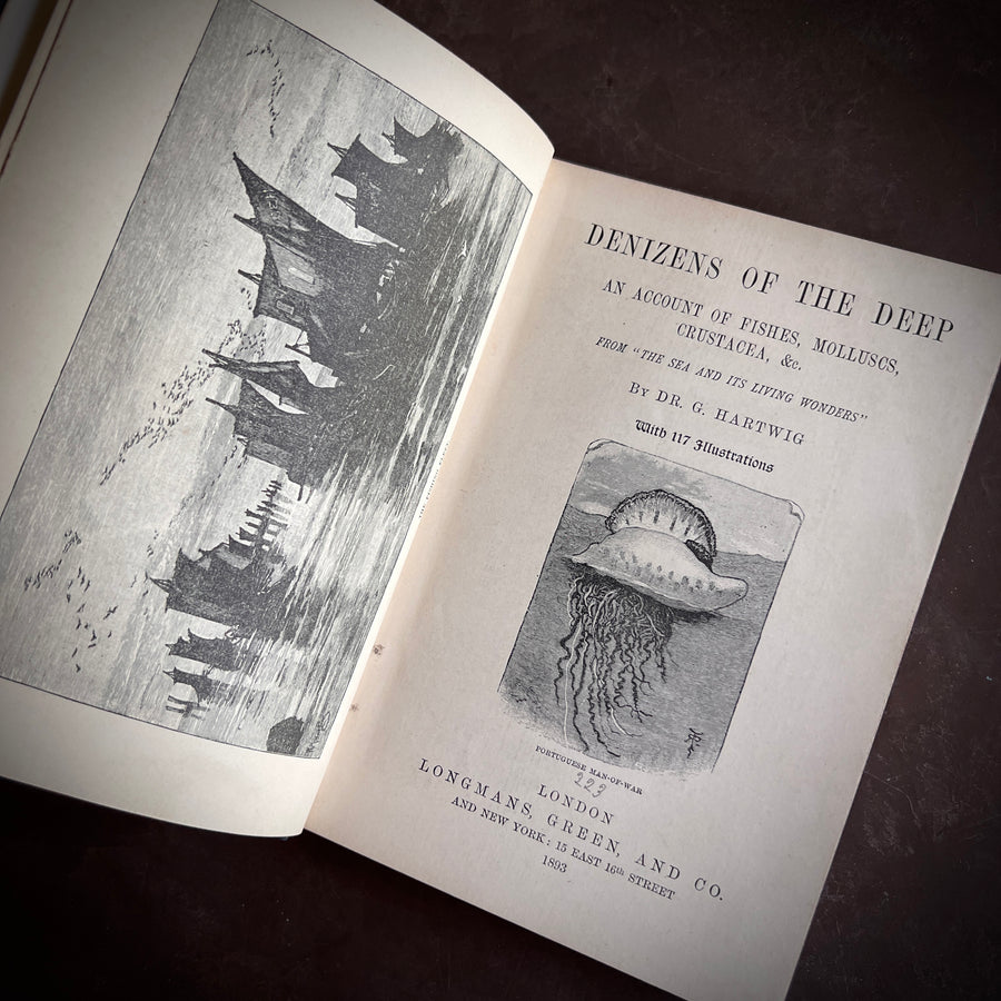 1893 - Denizens of the Deep; An Account of Fishes, Molluscs, Crustacea, etc.