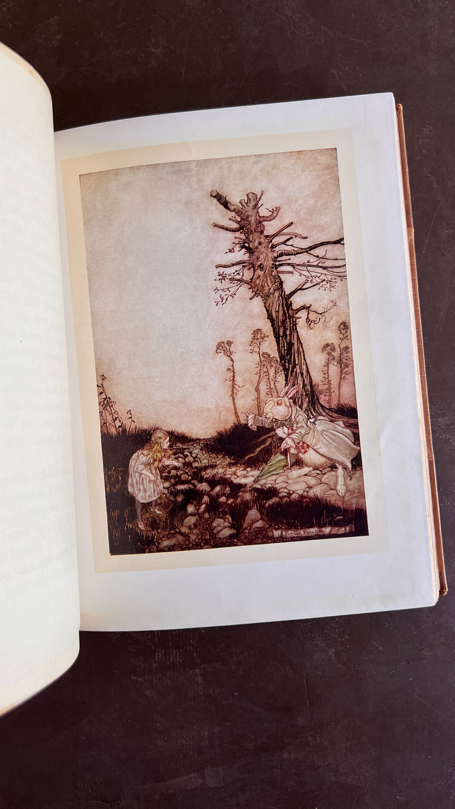 1928 - Alice’s Adventures In Wonderland, Arthur Rackham Illustrated