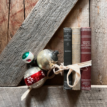 Antique Collection of Small Books in Holiday Colors